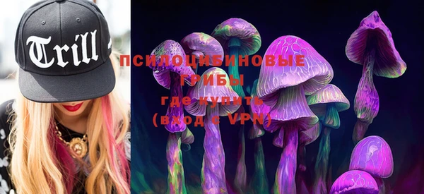 твердый Белокуриха