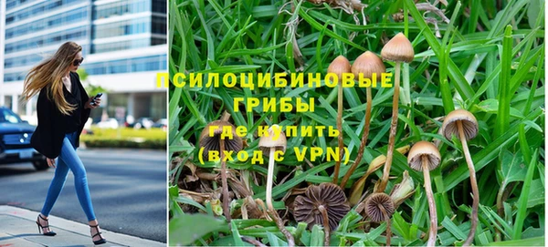 a pvp Баксан